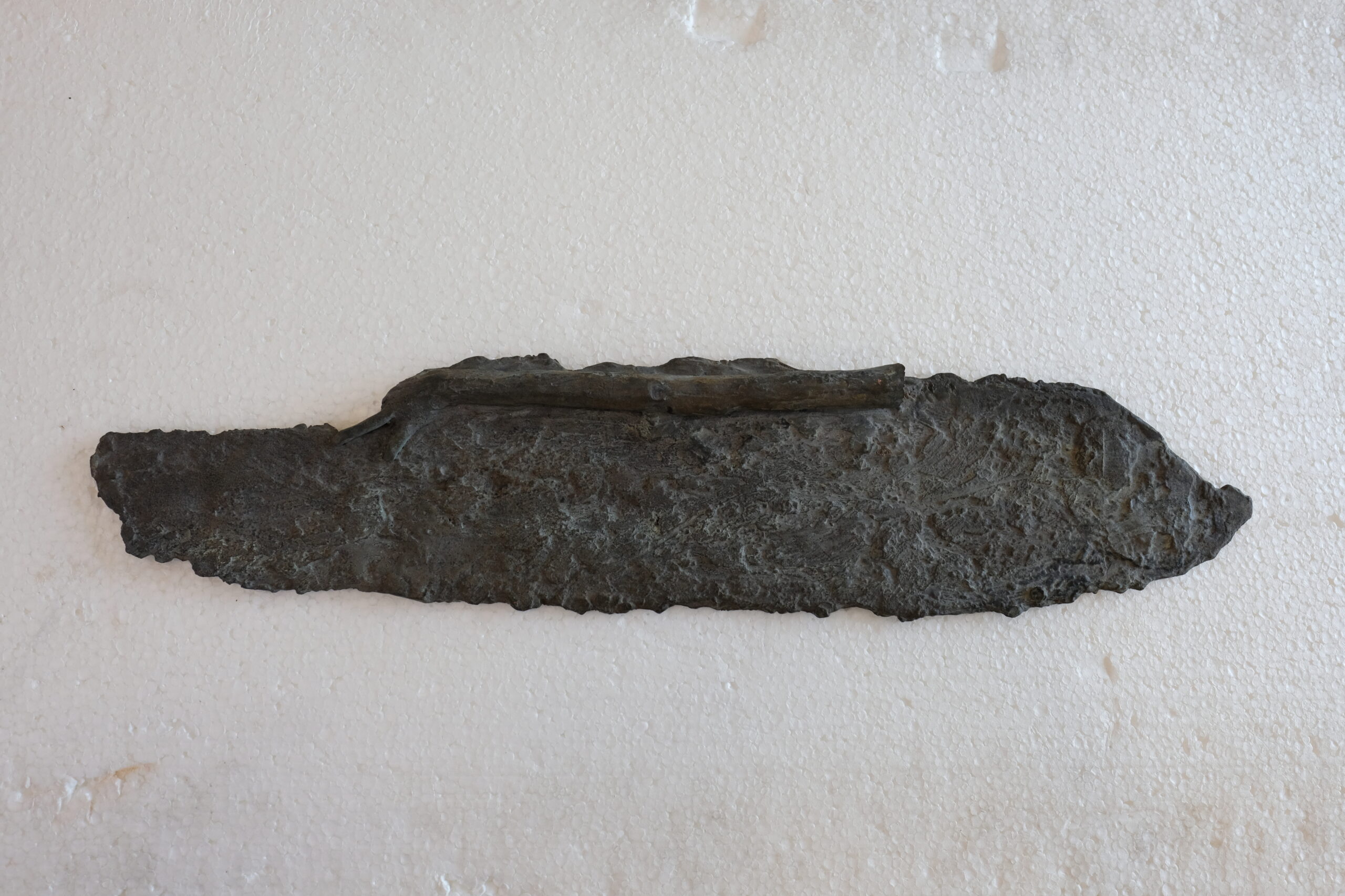 Vleugel voor behandeling